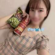 ヒメ日記 2025/12/23 09:24 投稿 トア ピカソ