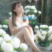 ヒメ日記 2025/12/23 12:37 投稿 トア ピカソ