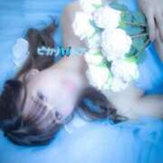 ヒメ日記 2026/01/11 09:56 投稿 トア ピカソ