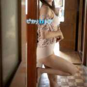 ヒメ日記 2026/02/07 08:30 投稿 トア ピカソ