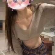 ヒメ日記 2025/09/14 23:25 投稿 ナズナ ピカソ