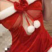 ヒメ日記 2025/12/14 09:13 投稿 ナズナ ピカソ