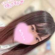 ヒメ日記 2025/11/22 15:34 投稿 ノドカ ピカソ