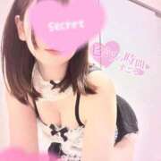 ヒメ日記 2026/03/22 10:01 投稿 ノドカ ピカソ