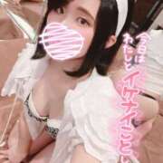 ヒメ日記 2025/10/02 09:48 投稿 ヒヨコ ピカソ