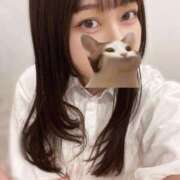 ヒメ日記 2025/08/14 09:56 投稿 マナ ピカソ