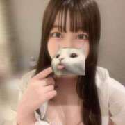 ヒメ日記 2025/08/17 09:55 投稿 マナ ピカソ