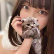 ヒメ日記 2025/08/28 09:57 投稿 マナ ピカソ