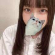 ヒメ日記 2025/08/31 09:54 投稿 マナ ピカソ