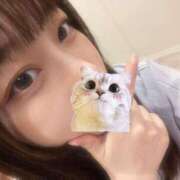 ヒメ日記 2025/09/10 12:52 投稿 マナ ピカソ