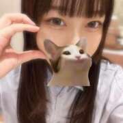 ヒメ日記 2025/09/11 09:57 投稿 マナ ピカソ