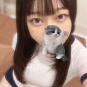 ヒメ日記 2025/09/12 09:52 投稿 マナ ピカソ