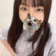 ヒメ日記 2025/09/14 09:49 投稿 マナ ピカソ