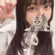 ヒメ日記 2025/09/24 12:53 投稿 マナ ピカソ