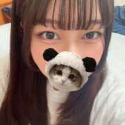 ヒメ日記 2025/09/25 09:22 投稿 マナ ピカソ