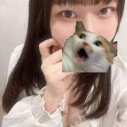 ヒメ日記 2025/10/08 17:59 投稿 マナ ピカソ