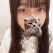 ヒメ日記 2025/10/11 08:50 投稿 マナ ピカソ