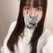 ヒメ日記 2025/10/12 08:52 投稿 マナ ピカソ