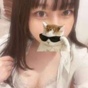 ヒメ日記 2025/10/22 09:06 投稿 マナ ピカソ