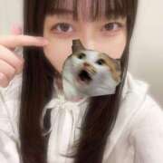 ヒメ日記 2025/10/25 08:55 投稿 マナ ピカソ