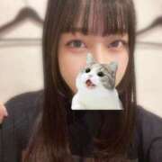 ヒメ日記 2025/11/06 09:59 投稿 マナ ピカソ