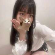 ヒメ日記 2025/11/07 09:52 投稿 マナ ピカソ