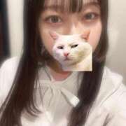 ヒメ日記 2025/11/08 08:52 投稿 マナ ピカソ