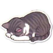 ヒメ日記 2025/11/08 21:02 投稿 マナ ピカソ