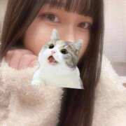 ヒメ日記 2025/11/19 15:54 投稿 マナ ピカソ