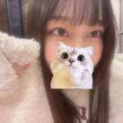 ヒメ日記 2025/11/21 09:54 投稿 マナ ピカソ