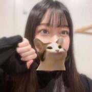 ヒメ日記 2025/11/22 08:52 投稿 マナ ピカソ