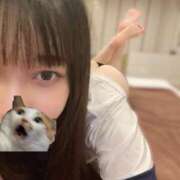 ヒメ日記 2025/11/23 08:57 投稿 マナ ピカソ