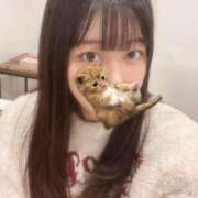 ヒメ日記 2025/11/24 08:55 投稿 マナ ピカソ