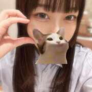 ヒメ日記 2025/11/25 17:48 投稿 マナ ピカソ