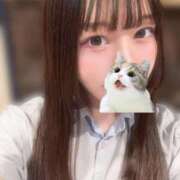 ヒメ日記 2025/11/29 11:53 投稿 マナ ピカソ