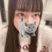 マナ ぶるぶる😱 ピカソ