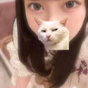 マナ おはよう🥱 ピカソ