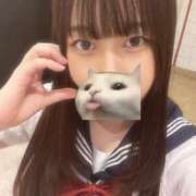 ヒメ日記 2025/12/17 09:15 投稿 マナ ピカソ