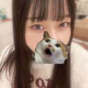 ヒメ日記 2025/12/18 09:48 投稿 マナ ピカソ