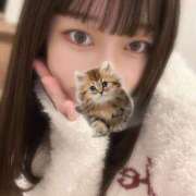 ヒメ日記 2025/12/19 09:44 投稿 マナ ピカソ