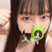 ヒメ日記 2025/12/20 08:50 投稿 マナ ピカソ