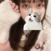 ヒメ日記 2026/01/16 09:47 投稿 マナ ピカソ