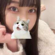 ヒメ日記 2026/01/17 09:55 投稿 マナ ピカソ