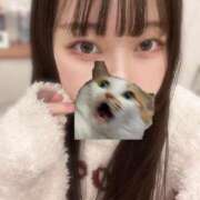 ヒメ日記 2026/01/29 09:45 投稿 マナ ピカソ