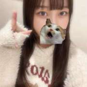 ヒメ日記 2026/01/30 09:44 投稿 マナ ピカソ