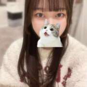 ヒメ日記 2026/01/31 09:51 投稿 マナ ピカソ