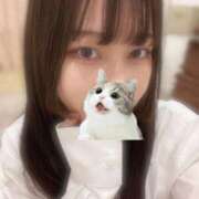 ヒメ日記 2026/02/11 15:53 投稿 マナ ピカソ