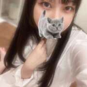 ヒメ日記 2026/02/12 09:50 投稿 マナ ピカソ