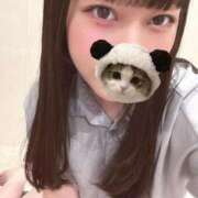 ヒメ日記 2026/02/26 09:47 投稿 マナ ピカソ