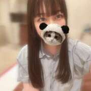 マナ 日曜日！ ピカソ